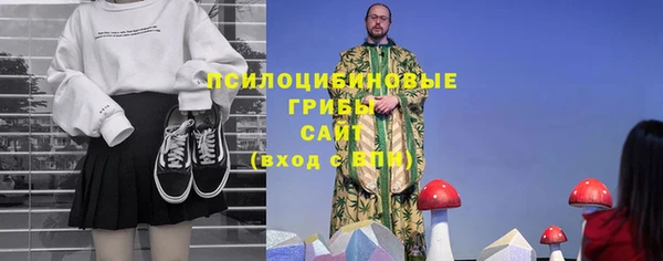 ALPHA PVP Киселёвск