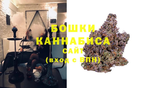 сатива Белоозёрский