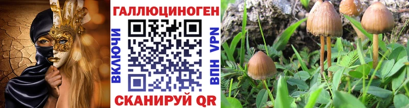 Псилоцибиновые грибы прущие грибы  цены   Малмыж 